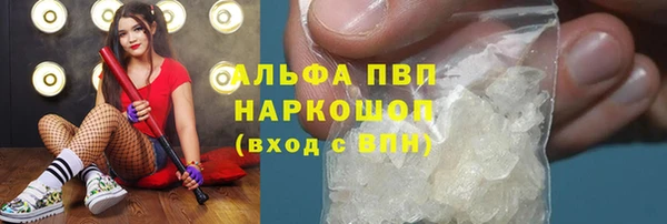 прущие грибы Сосновоборск