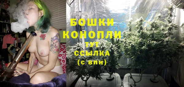 сатива Верхнеуральск
