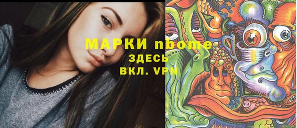 прущие грибы Сосновка