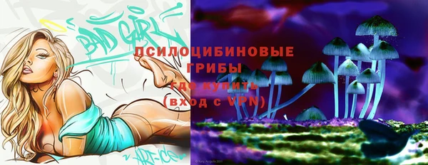 сатива Верхнеуральск