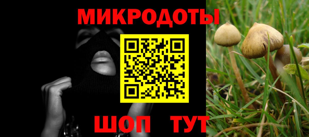 Псилоцибиновые грибы Cubensis  Вход с VPN  Назрань 